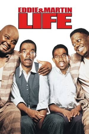 Life (1999) Hindi Dual Audio 720p BluRay [1.3GB]