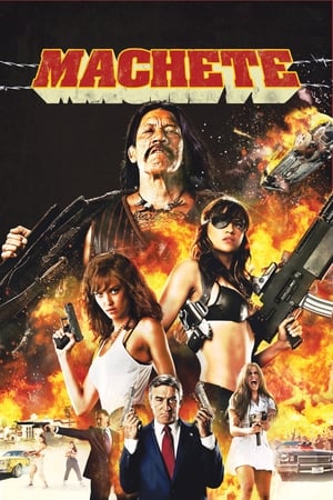 Machete 2010 Hindi Dual Audio 480p BluRay 300MB