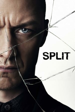 Split (2016) Hindi Dual Audio 480p BluRay 400MB