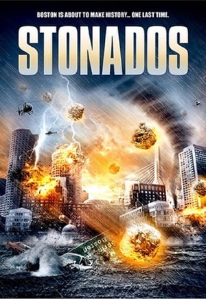 Stonados (2013) Hindi Dual Audio 480p BluRay 300MB