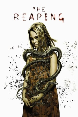 The Reaping (2007) Hindi Dual Audio 480p BluRay 340MB