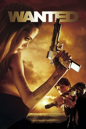 Wanted 2008 Hindi Dual Audio 720p BluRay [860MB]